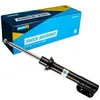 Image de BILSTEIN 2x Amortisseur Jambe de suspension Pression de gaz Essieu avant Compatible avec RENAULT Megane 1 5 portes BA, BA0/1 22-046840