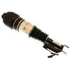 Image de BILSTEIN Amortisseur pneumatique pour MERCEDES-BENZ: Classe CLS (Ref: 44-104535)
