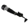 Image de BILSTEIN Amortisseur pour MERCEDES-BENZ: Classe CL, Classe S (Ref: 44-110475)