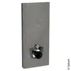 Image de Geberit Monolith Module sanitaire pour cuvette suspendue, 131031005,