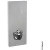 Image de Geberit Monolith Plus Module sanitaire pour cuvette suspendue, 131231JV7,