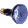 Image de Lampe UV E27 Omnilux R80 230V 112 mm