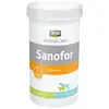 Image de GRAU - l’Original - Sanofor, Tourbe médicinale pour favoriser la Flore intestinale, vitaliser la muqueuse et la Flore intestinales, Pack de 1 (1 x 1 kg), complément Alimentaire pour Chiens et Chats