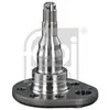 Image de FEBI BILSTEIN Bout d'essieu, Corps de l'essieu pour VOLKSWAGEN: Golf, Polo, Passat, Golf Cabriolet, Vento, Jetta & SEAT: Cordoba, Ibiza (Ref: 18348)