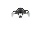 Image de FEBI BILSTEIN Rotule de suspension pour VOLKSWAGEN: Transporter (Ref: 29772)