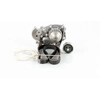 Image de FEBI BILSTEIN Pompe à eau + kit de courroie de distribution pour RENAULT: R19, Clio, Lutécia (Ref: 34641)