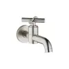 Image de Dornbracht Tara. Robinet mural de lavabo, 30010892-06,