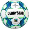 Image de DERBYSTAR Gamma TT Ball Weiss Blau Gruen 5