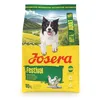 Image de JOSERA Adult Festival Saumon & Poulet (1 x 3 kg) | Croquettes pour Chiens Adultes Actifs et Difficiles | Riches en énergie | délicieuse Sauce - également pour tremper | sans Gluten | Pack 1