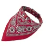 Image de Nobby Collier avec Foulard pour Chien Rouge 60 cm