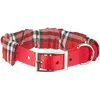 Image de Nobby Collier avec Bandana pour Chien Rouge 42 cm/20 mm