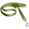 Image de Nobby Laisse en Nylon pour Chien Vert 10 mm x 120 cm