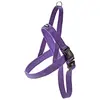 Image de Nobby Classic Preno Harnais Norvégien pour Chien Lilac, L