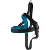 Image de Nobby Mesh Preno Collier pour Chien Turquoise 30-45 cm/20-25 mm