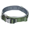 Image de Nobby Classic Preno Royal Collier pour chien, Vert Olive, XS-S; Taille du cou 32-39 cm