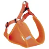 Image de Nobby Harnais en Maille avec Bande réfléchissante, Taille XXS, Orange Fluo
