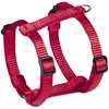 Image de Nobby Vaisselle Classic Preno Mini Rouge - L : 30-40 cm - B : 10 mm