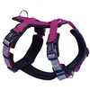 Image de Nobby 80446-64 Harnais Daily Walk Comfort Framboise ; XS : Poitrine : 22-32 cm, Ventre : 37-46 cm