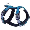 Image de Nobby Daily Walk Comfort 80448-32 Harnais pour Chien Bleu Clair Taille S M : Tour de Poitrine 32-36 cm et Ventre 48-65 cm