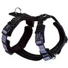 Image de Nobby 80451-05 Daily Walk Comfort Harnais Noir Taille XL : Tour de Poitrine : 48-68 cm, Ventre : 69-97 cm