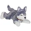 Image de Dog Copenhagen Nobby Peluche Chien couché Husky 35 cm