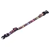 Image de Nobby Paw Collier pour Chien