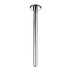 Image de Herzbach Living Spa Bras de douche, 11.670500.1.01,