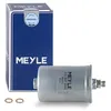 Image de Meyle 014 047 0033 Filtre à carburant