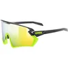 Image de uvex Sportstyle 231 2,0 - Lunettes de Sport pour Hommes et Femmes - Anti-Buée - Confort et Maintien Parfait Sans Points de Pression - Black Yellow Matt/Yellow - One Size