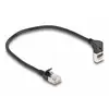 Image de Delock 80285 RJ45 Câble réseau, câble patch CAT 6a S/FTP 0.25 m noir 1 pc(s)