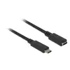 Image de Delock Câble USB USB 3.2 Gen1 USB-C® mâle, USB-C® femelle 1.00 m noir 85533