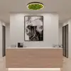 Image de Just Light Green Ritus Plafonnier LED, 15391-66,