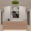 Image de Just Light Green Ritus Plafonnier LED, 15392-66,