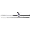Image de DAM FP2 Boat Spinning Combo, Boat Combo, 210 100-250 8000 0,45 Combo
