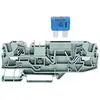 Image de Bloc de jonction à fusibles WAGO 2006-1681/1000-434 7.50 mm ressort de traction Affectation: L gris 1 pc(s)