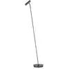 Image de HELL Tom Pro Lampadaire, LED, 1 source lumineuse, 60550/1-15,