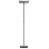 Image de HELL Andy Lampadaire LED, 2 sources lumineuses, 60555/1-15,