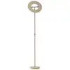 Image de HELL MONZA X Lampadaire à éclairage indirect, LED, 60566/1-13,