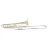 Image de Roy Benson TT-242F Trombone Ténor Sib avec Etui