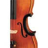 Image de GEWA Strings Protection de violon