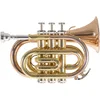 Image de Roy Benson PT-101G Trompette de poche Sib cuivre rose
