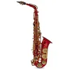 Image de Roy Benson AS-202R Saxophone Alto Mib avec Etui Rouge