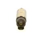 Image de BOSCH Pompe à carburant pour FIAT: Palio, Siena, Albea & FORD: Focus & RENAULT: Clio, Mégane Scénic & CHEVROLET: Aveo, Kalos (Ref: 0 580 454 093)