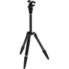 Image de Rollei Compact Traveler No. 1 Carbone - Noir