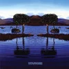 Image de Skunkworks (2 LP) [VINYL]