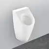 Image de Villeroy & Boch Architectura Urinoir, 558600R1,