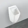 Image de Villeroy & Boch Architectura Urinoir, 558700R1,