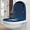 Image de Villeroy & Boch ViCare Abattant WC, 9M67S1P1,