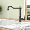 Image de Villeroy & Boch Avia 2.0 Mitigeur de cuisine, pivotant, 92400005,