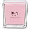 Image de ipuro Bougie parfumée décorative Ipuro flower bowl - Bougies parfumées minimalistes et épurées dans un verre - Bougies parfumées intenses avec des notes florales et vivifiantes - Bougie élégante de